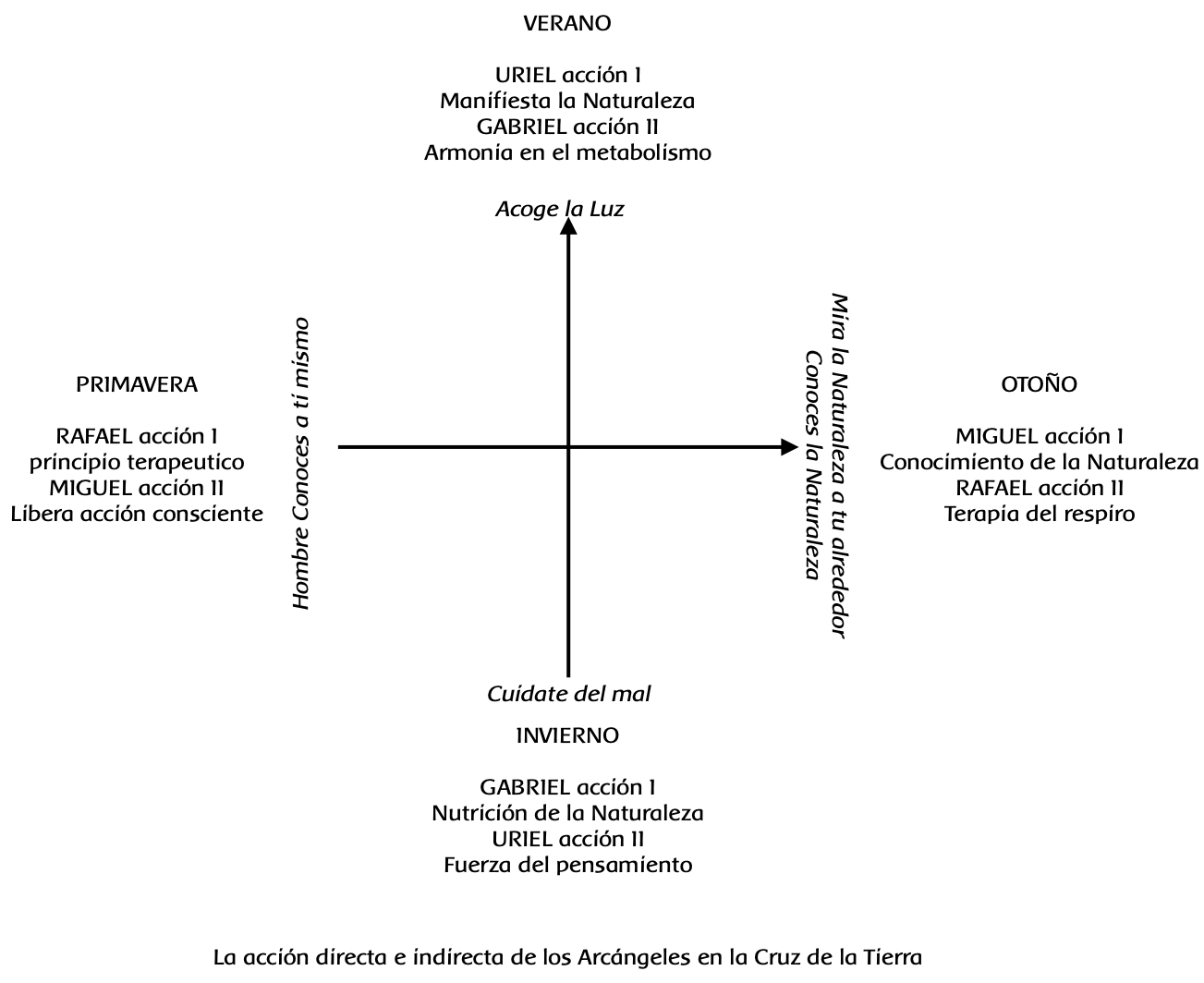 El curso del año y la conciencia