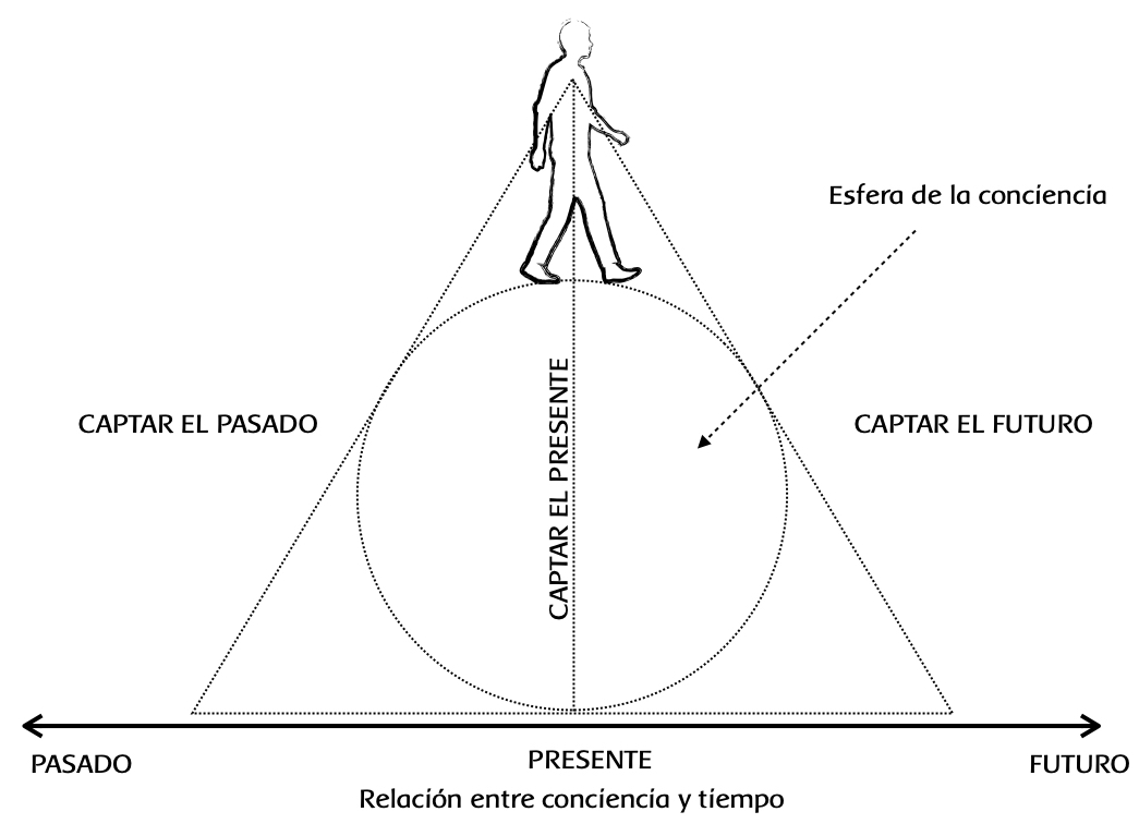 Las 12 Regiones Cósmicas